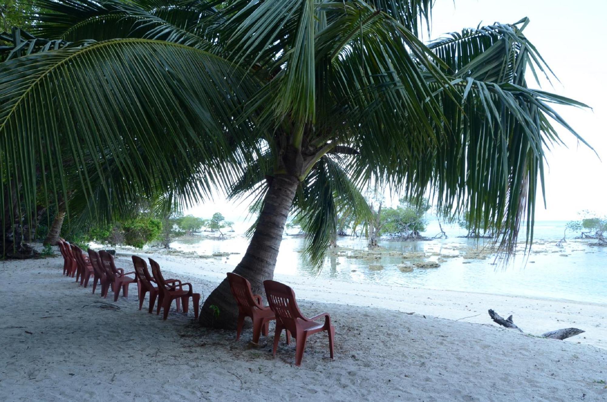 Coconhuts Beach Resort Lakshmanpur Экстерьер фото